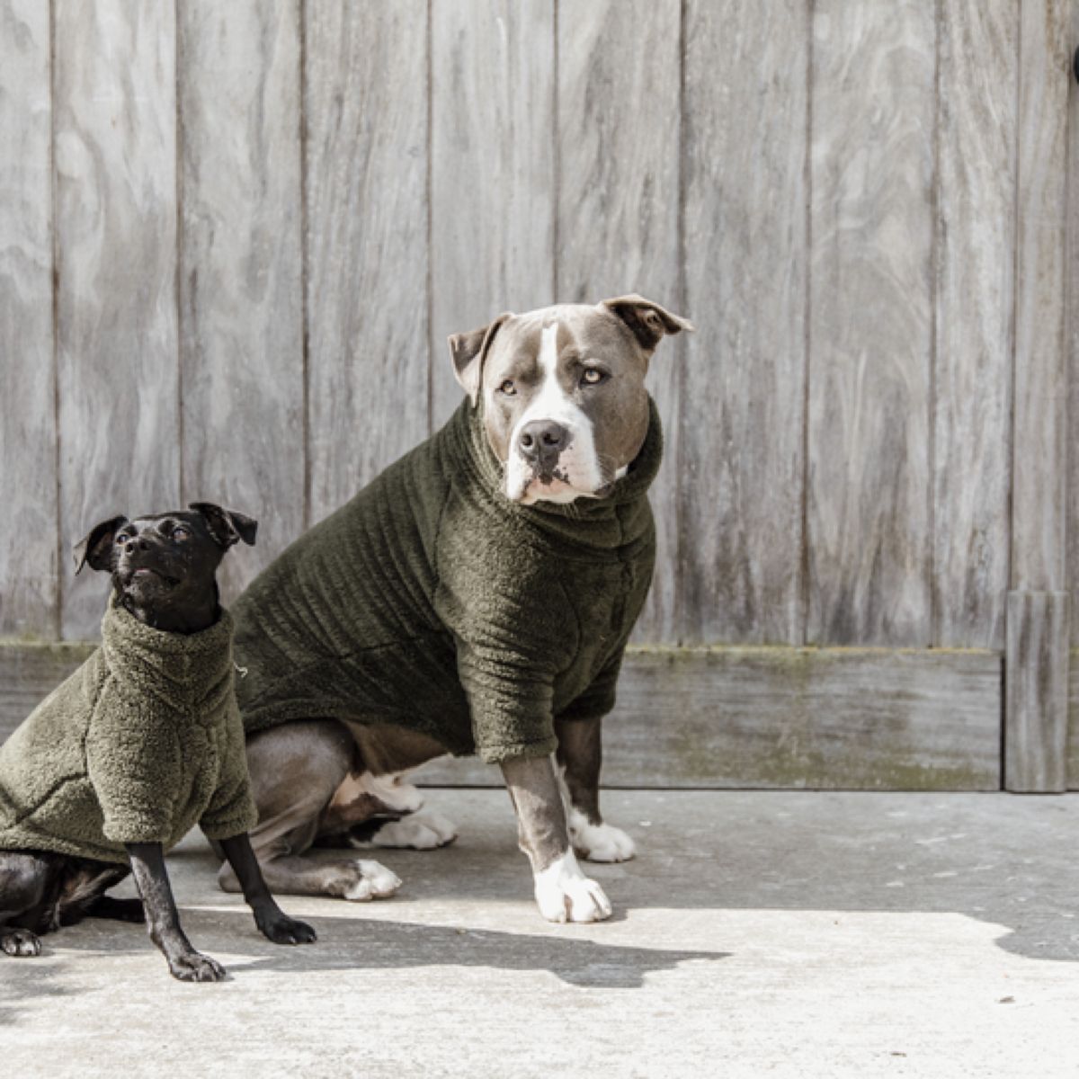 Kentucky Honden Sweater Teddy Fleece Pine Green