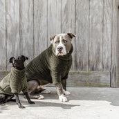 Kentucky Honden Sweater Teddy Fleece Pine Green