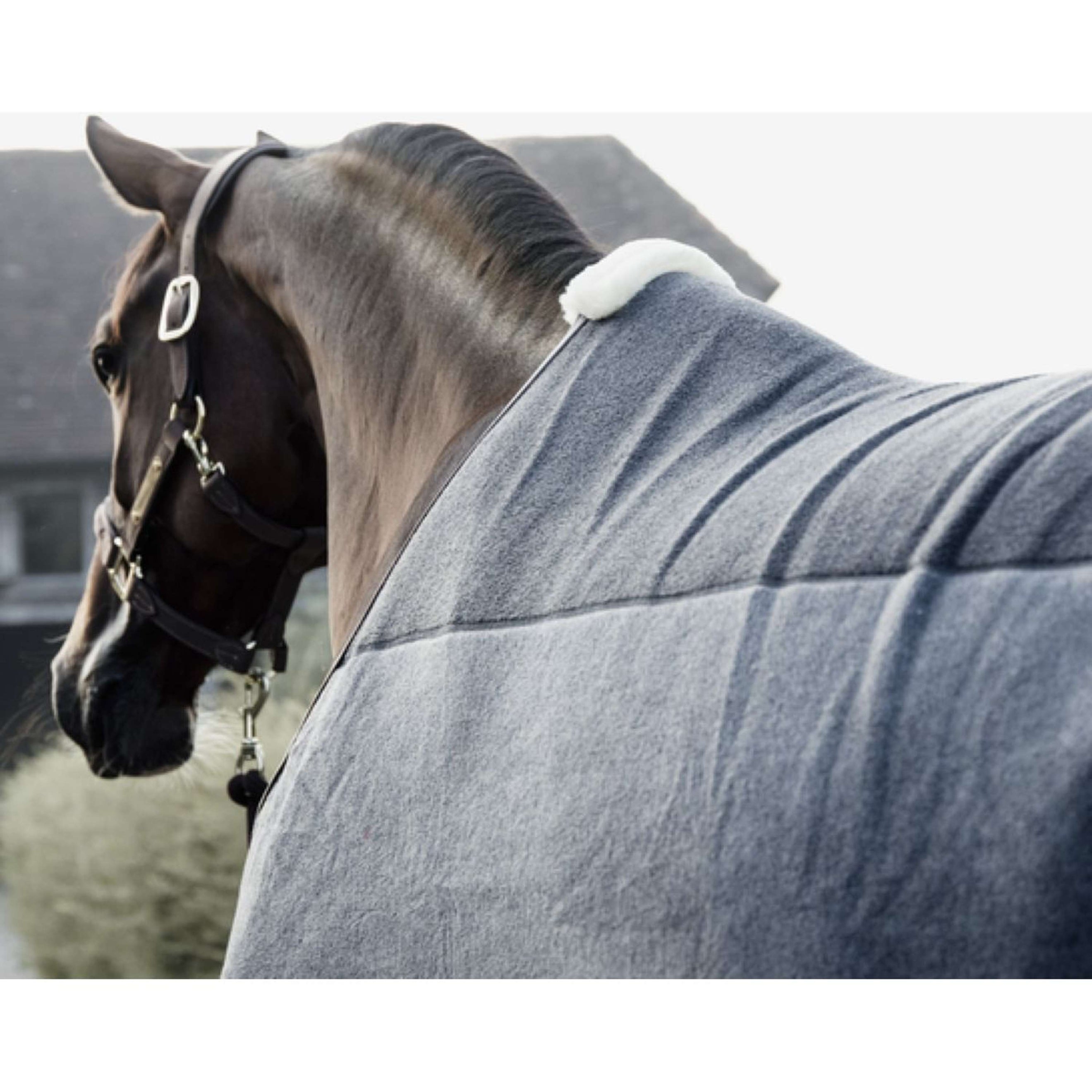 Kentucky Zweetdeken Heavy Grey Kentucky Zweetdeken Heavy Grey