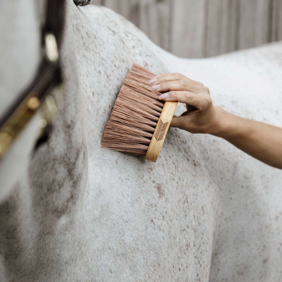 Grooming Deluxe by Kentucky Borstel Middle Bruin