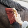 Grooming Deluxe by Kentucky Borstel Middle Long Bruin
