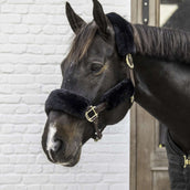 Kentucky Halsterbontjes Sheepskin Black