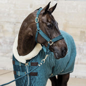 Kentucky Halstertouw Basic Emerald