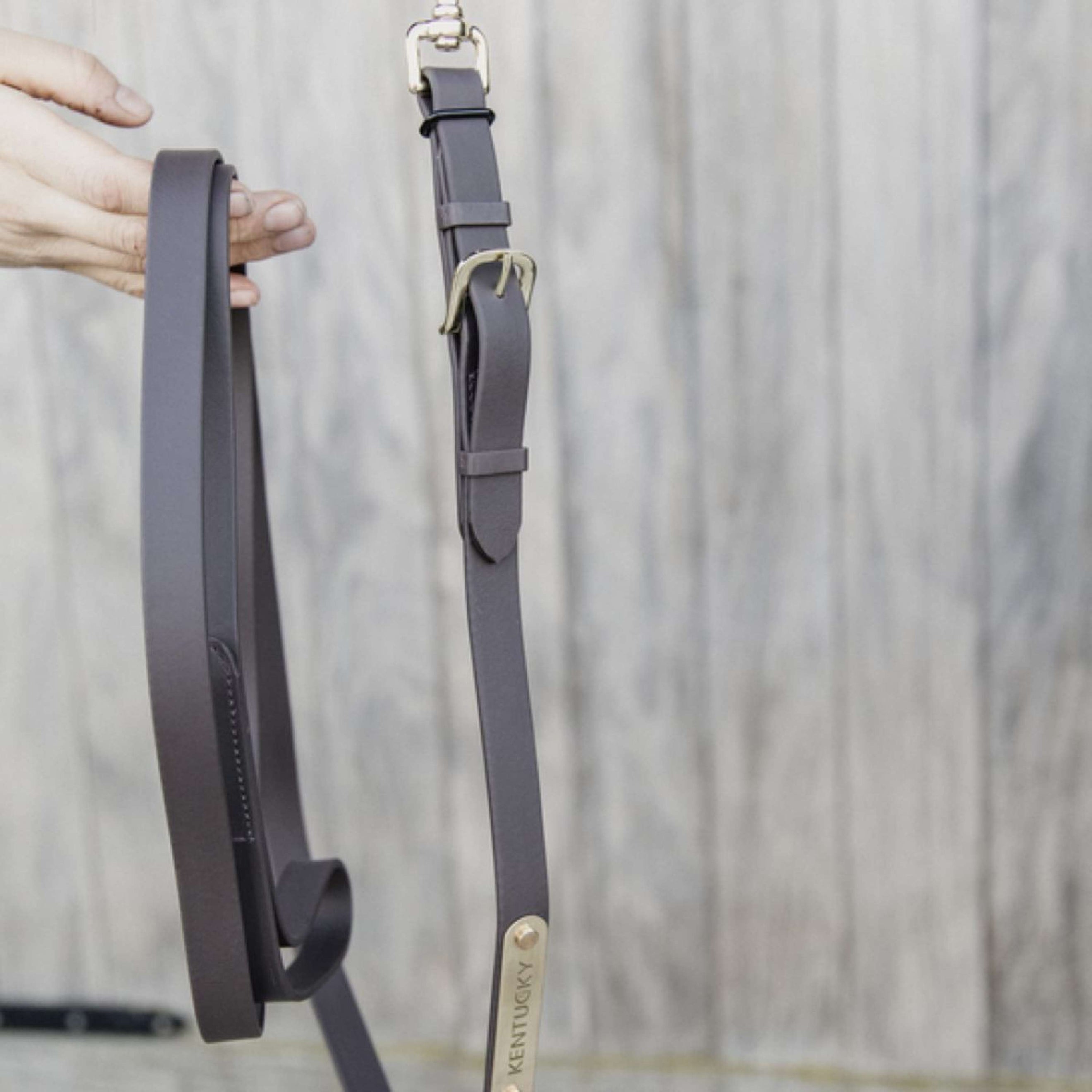 Kentucky Halstertouw Brown Kentucky Halstertouw Brown