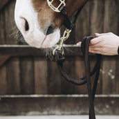 Kentucky Halstertouw Loop Brown