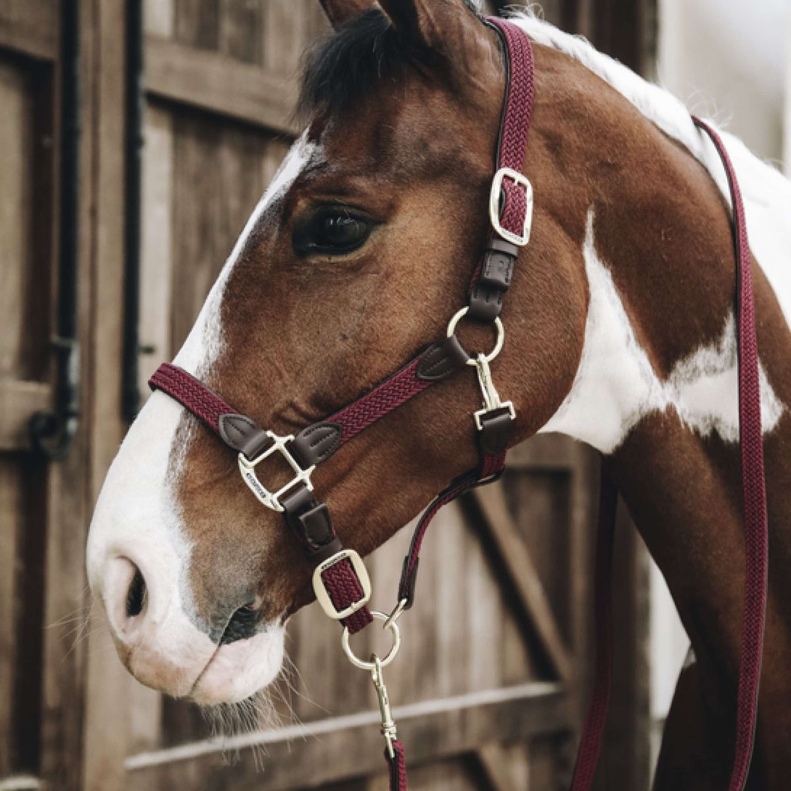 Kentucky Halster Gevlochten Nylon Bordeaux Kentucky Halster Gevlochten Nylon Bordeaux