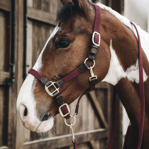 Kentucky Halstertouw Plaited Nylon Bordeaux