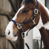 Kentucky Halstertouw Plaited Nylon Navy