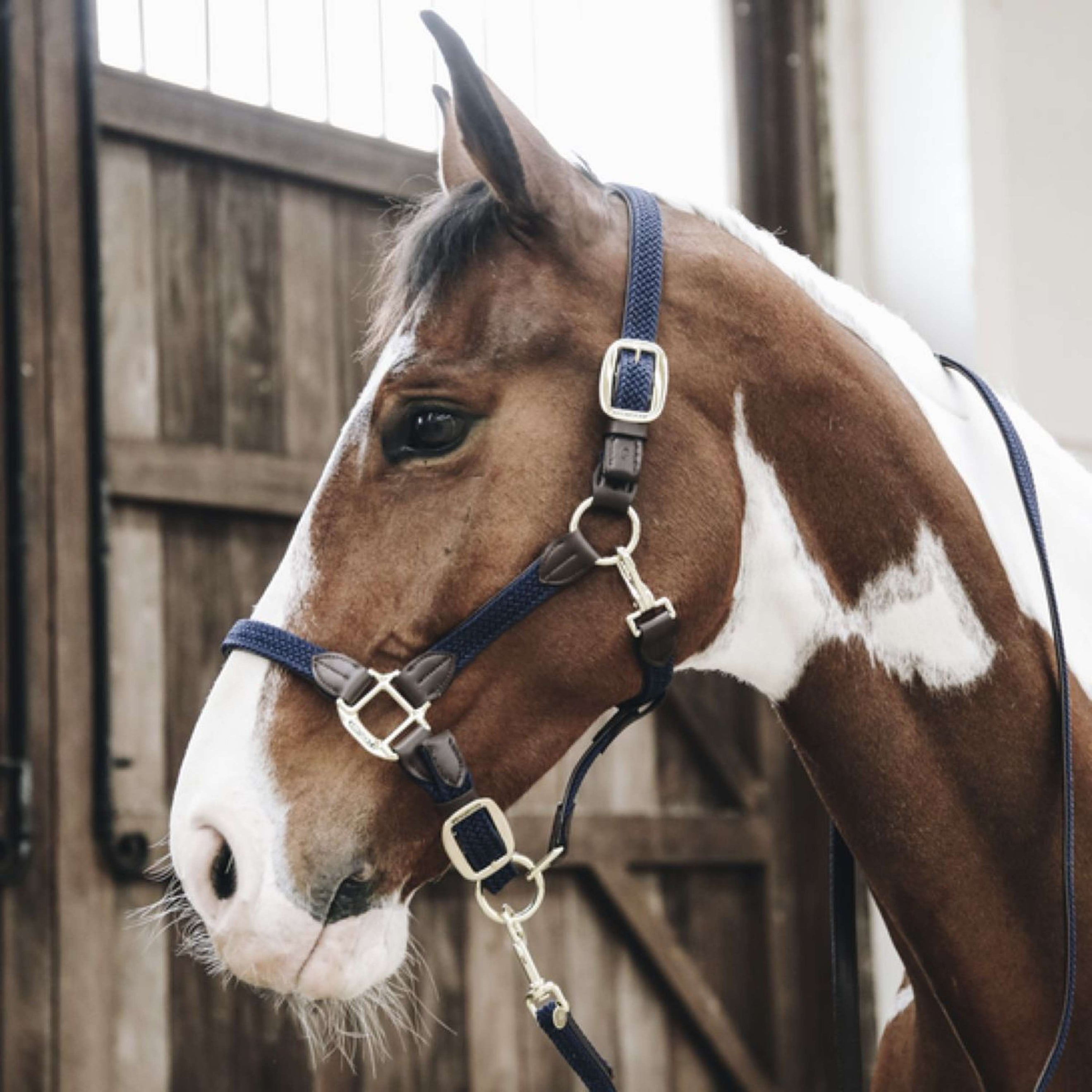 Kentucky Halster Gevlochten Nylon Navy Kentucky Halster Gevlochten Nylon Navy