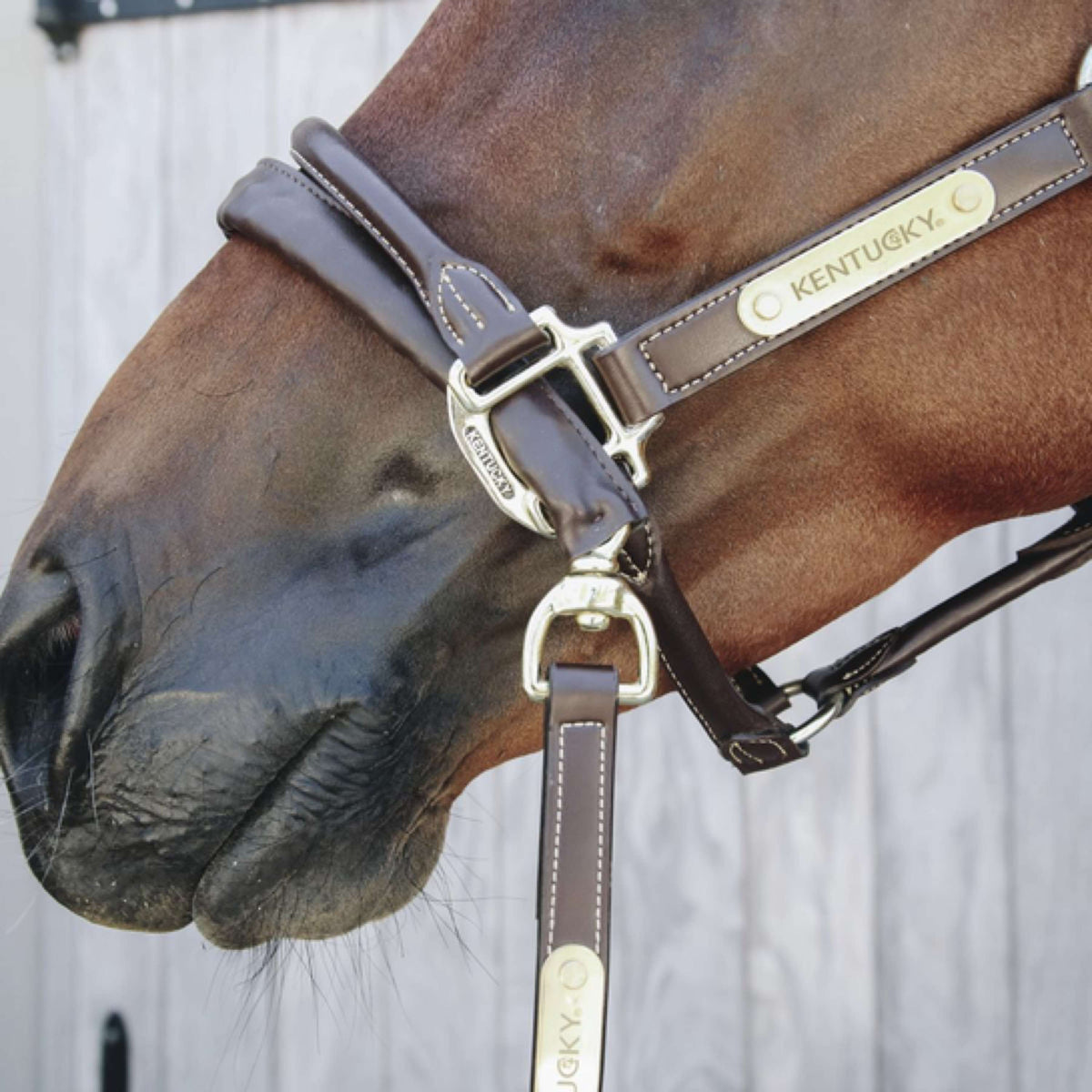 Kentucky Ketting Leather Covered Brown