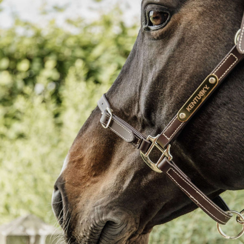 Kentucky Leren Halster Flexible Leather Brown