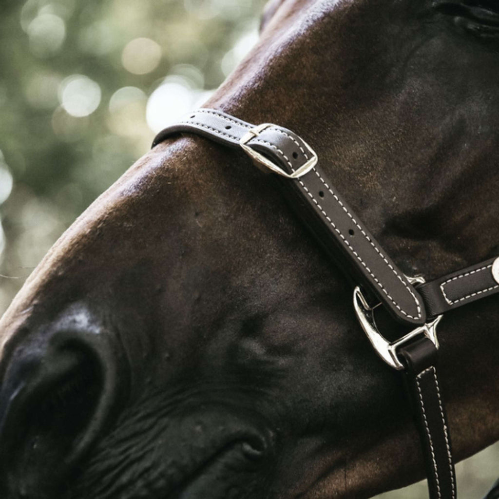 Kentucky Leren Halster Flexible Leather Brown