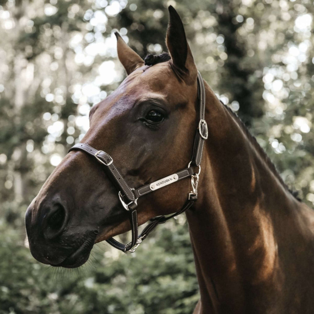 Kentucky Leren Halster Flexible Leather Brown
