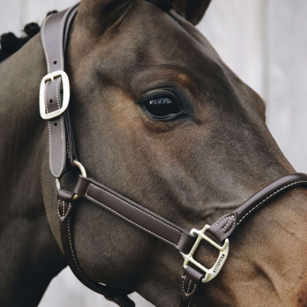Kentucky Halster Anatomisch Leer Bruin