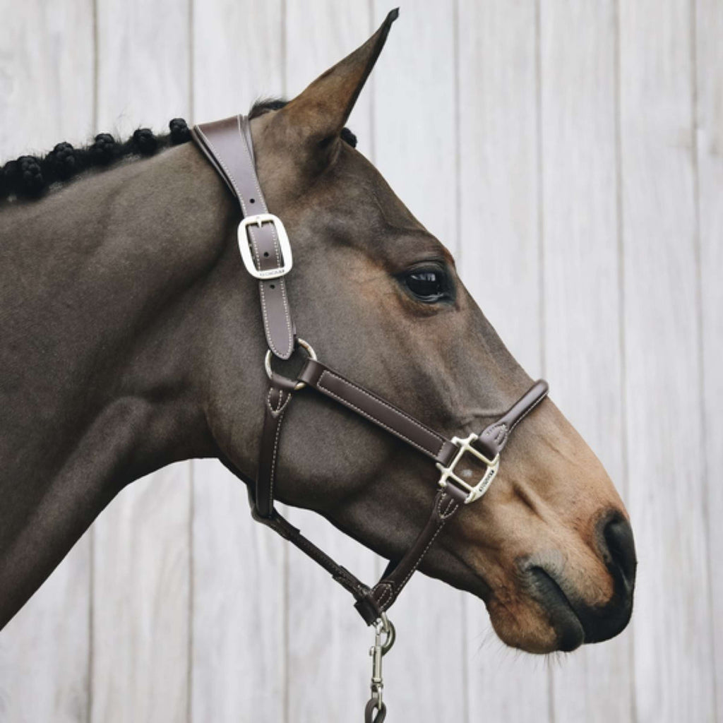 Kentucky Halster Anatomisch Leer Bruin