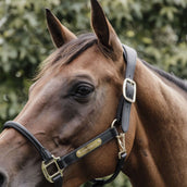 Kentucky Nekstuk Leder Halster Zwart