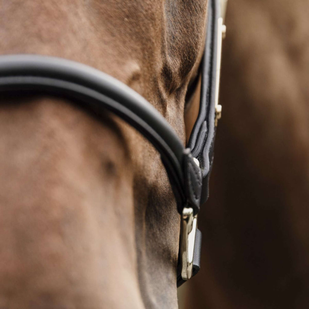 Kentucky Halster Anatomisch Leer Zwart