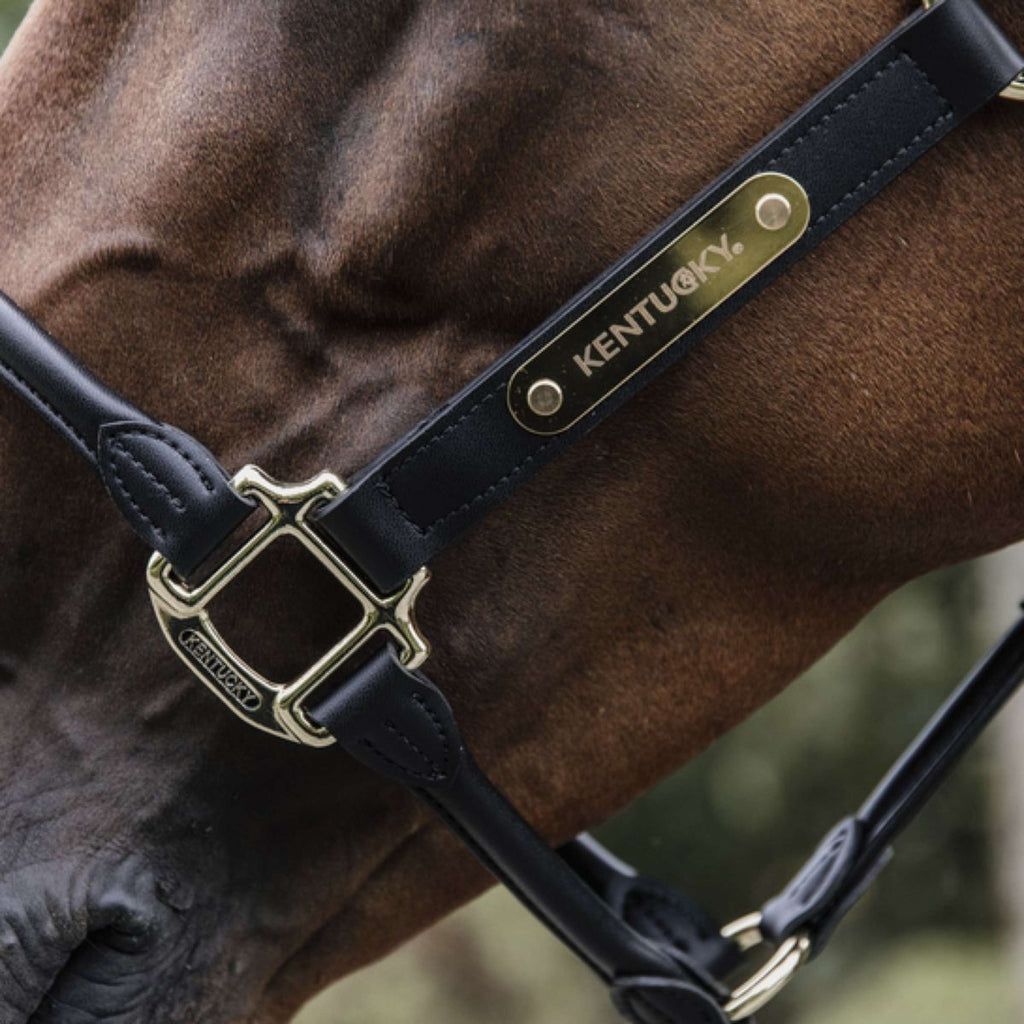 Kentucky Halster Anatomisch Leer Zwart