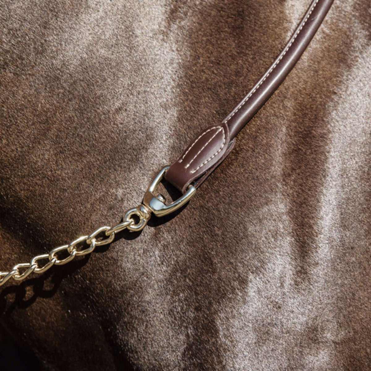 Kentucky Presentatielijn Leather Chain Bruin