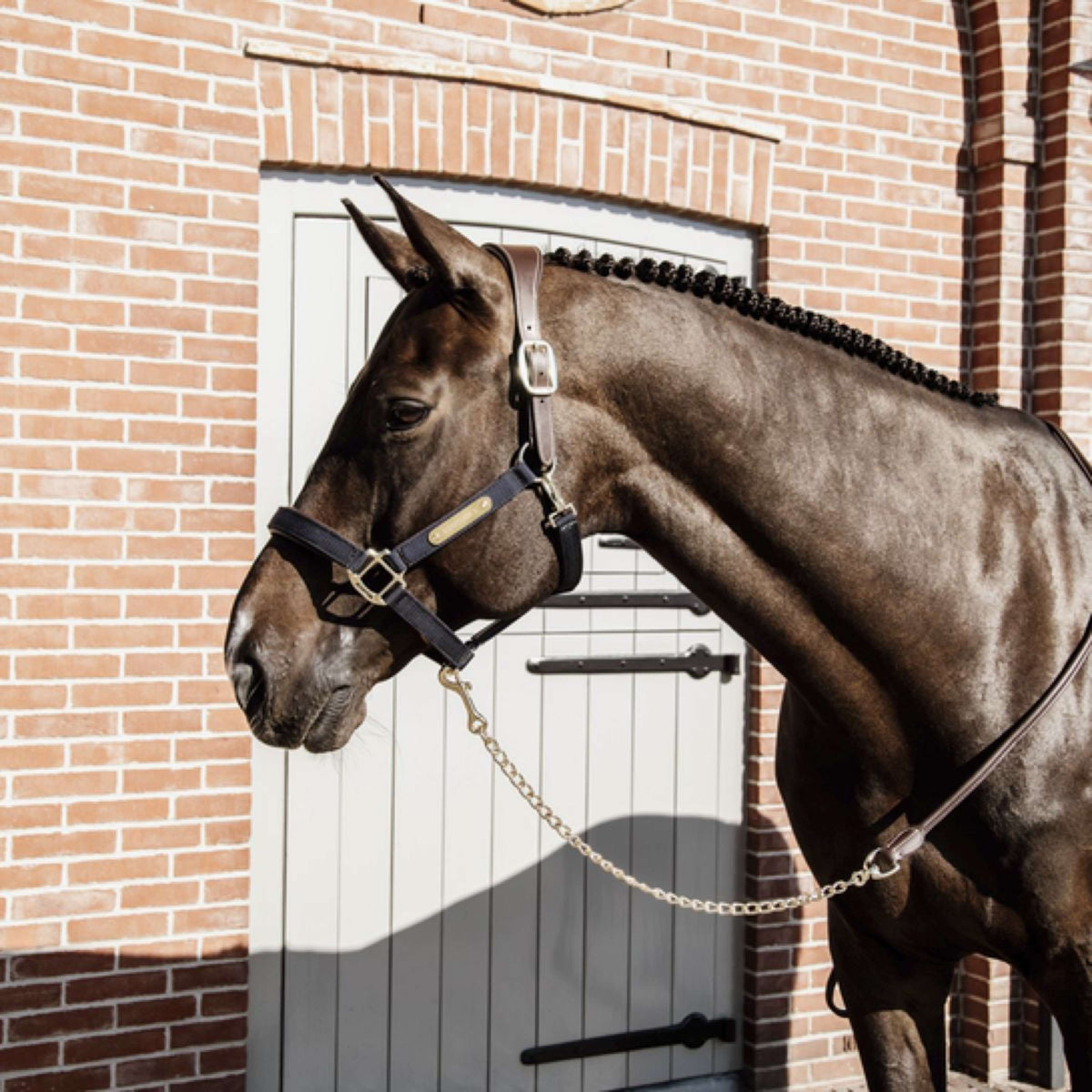 Kentucky Presentatielijn Leather Chain Bruin