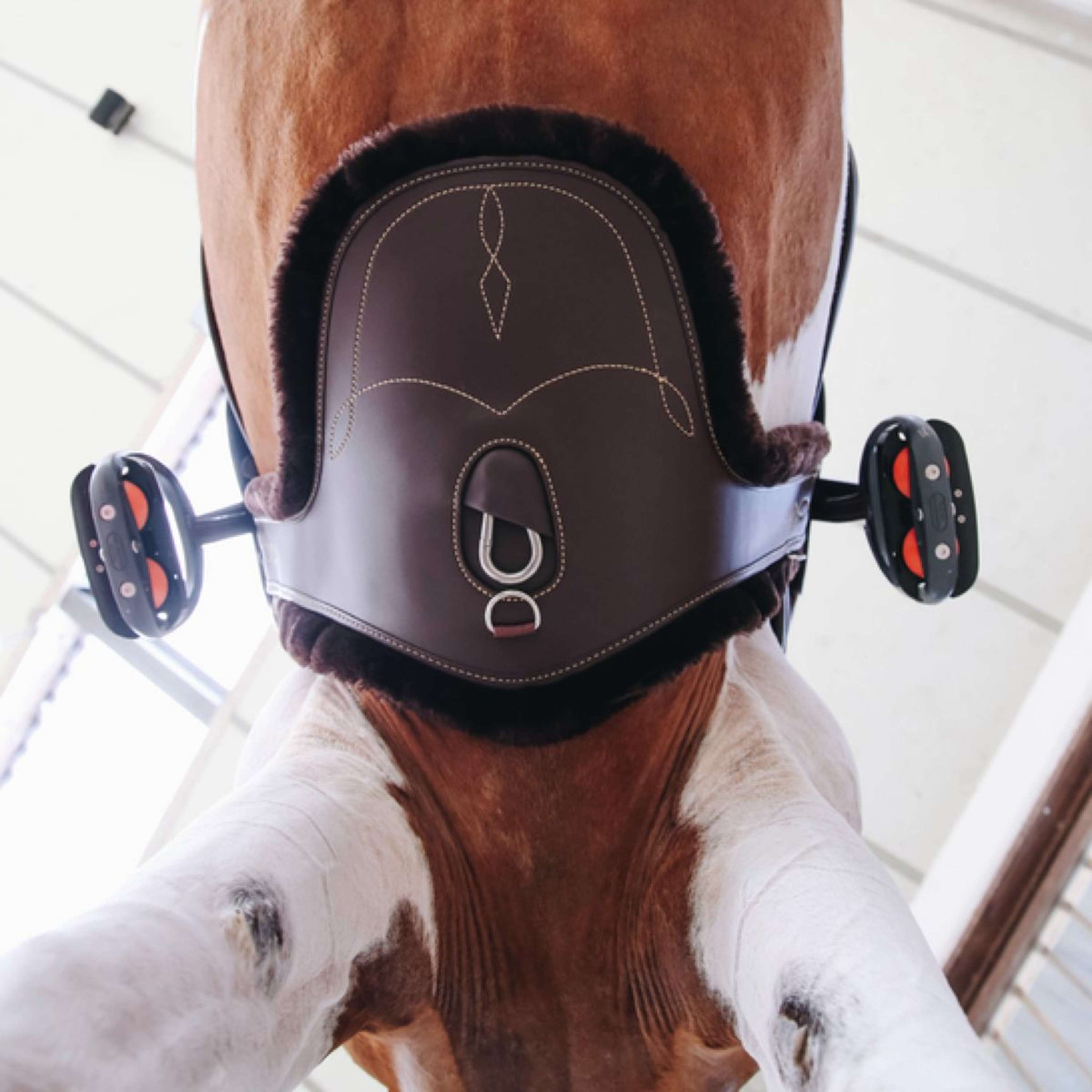 Kentucky Singelhoes Sheepskin Stud Brown Kentucky Singelhoes Sheepskin Stud Brown