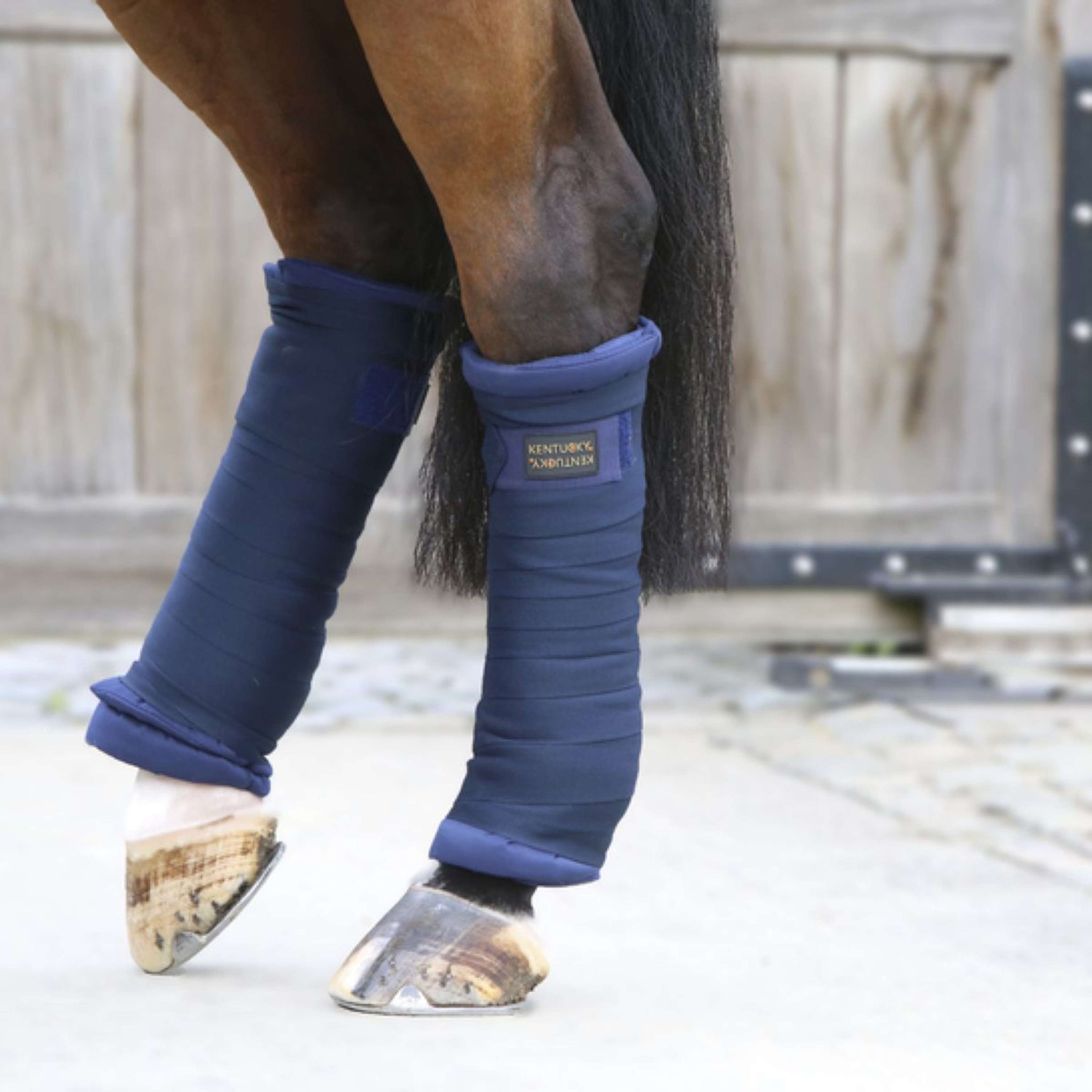 Kentucky Stal Bandage Pad Navy