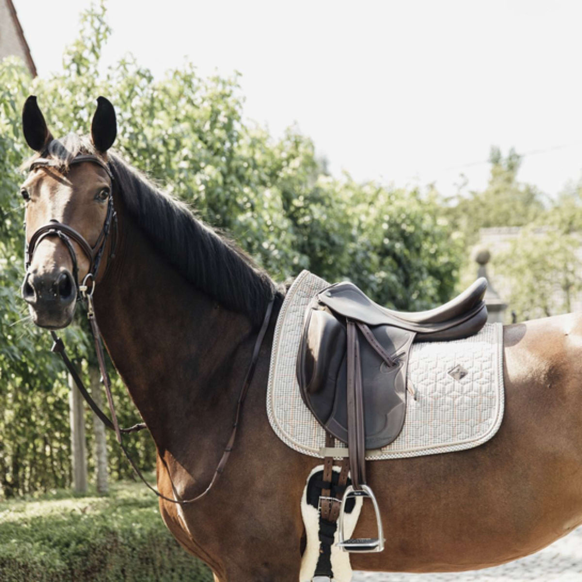 Kentucky Zadeldekje Pied-de-Poule Dressuur Beige