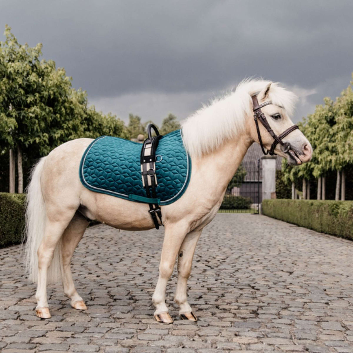 Kentucky Zadeldekje Velvet Emerald