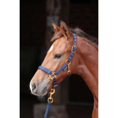 Covalliero Veulen Halster TopLine Navy