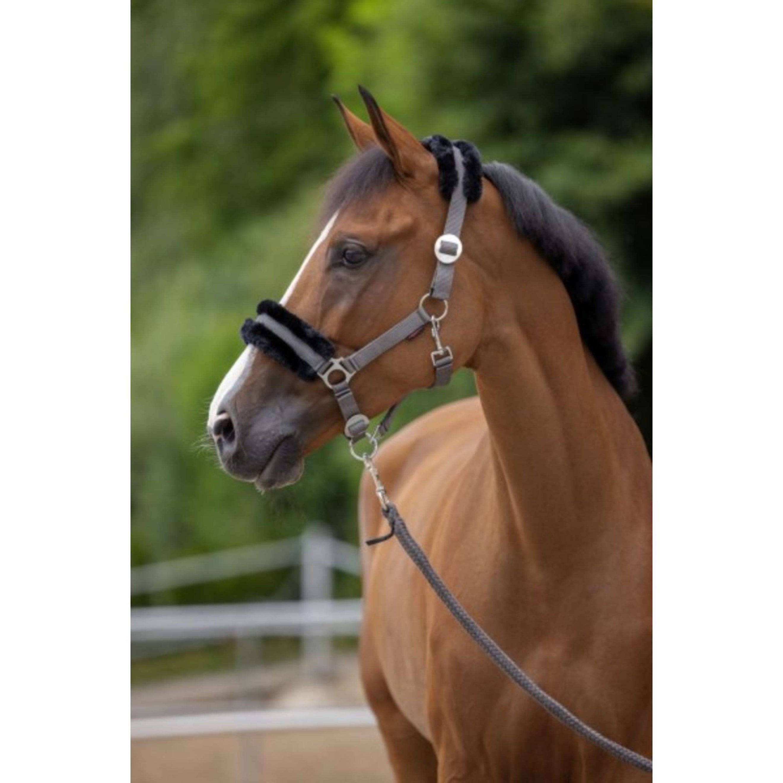 Covalliero Halster ClassicSoft Stone Covalliero Halster ClassicSoft Stone