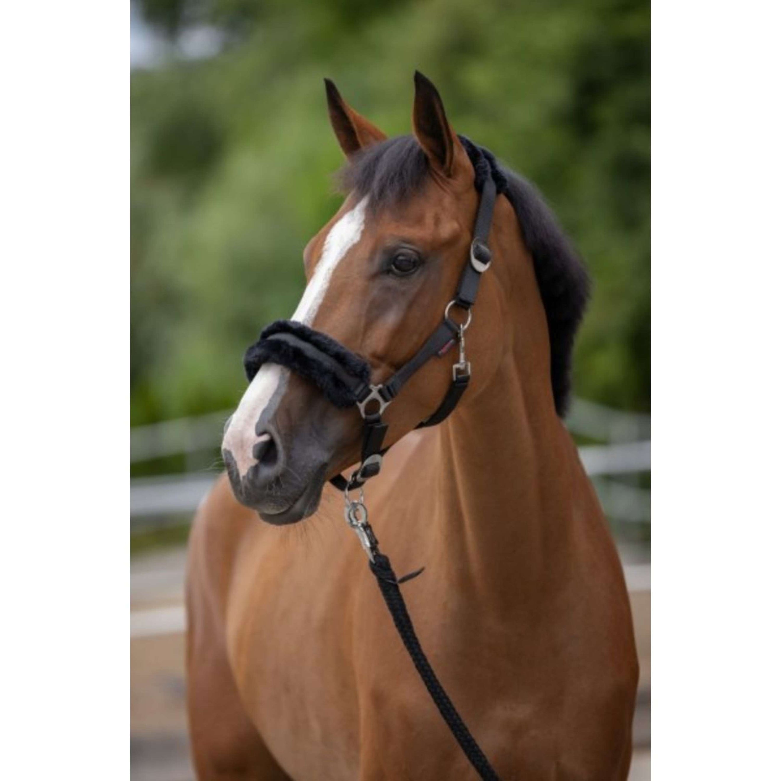 Covalliero Halster ClassicSoft Zwart Covalliero Halster ClassicSoft Zwart