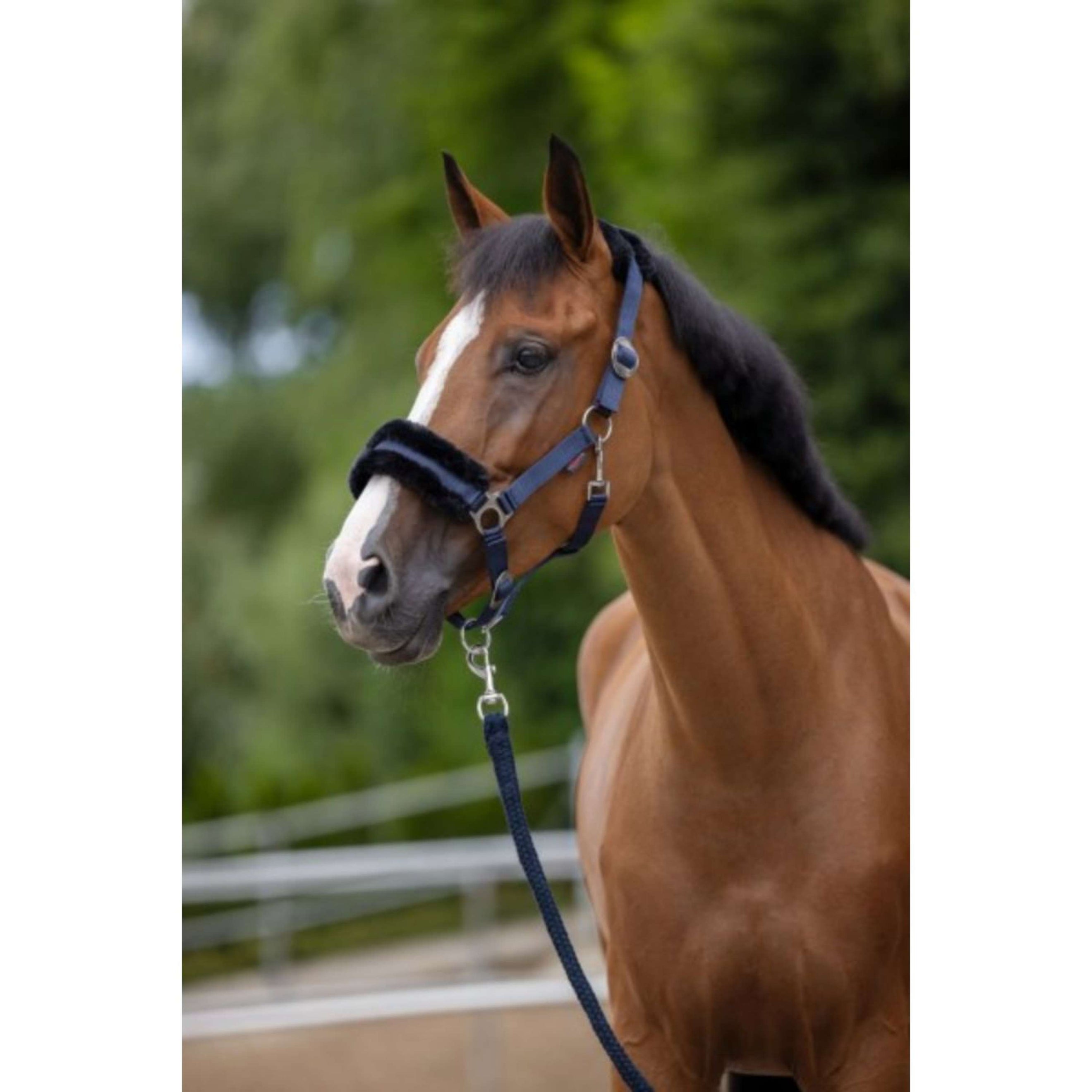 Covalliero Halster ClassicSoft Navy Covalliero Halster ClassicSoft Navy