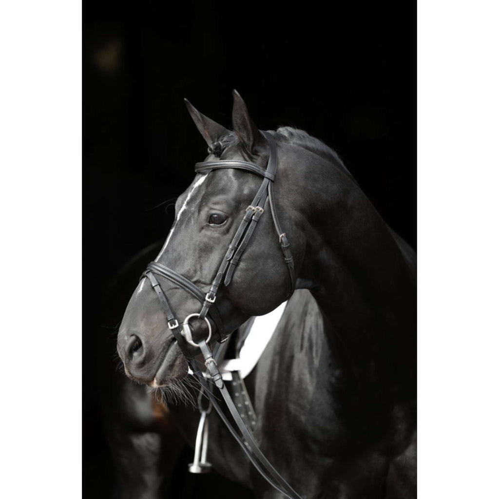 Kerbl Hoofdstel Eurohorse Zwart