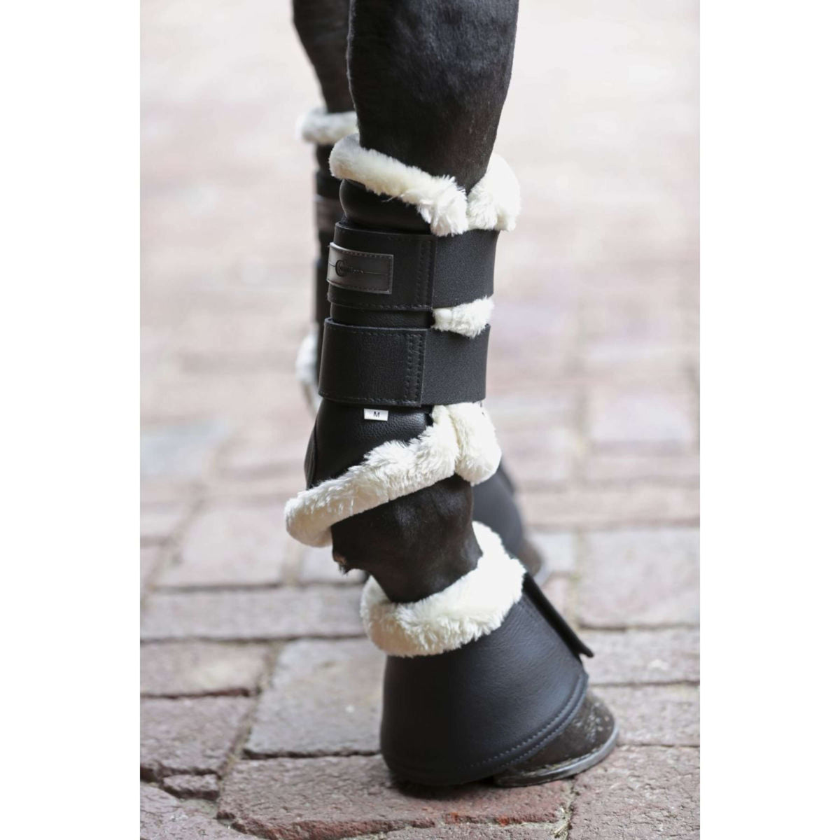 Covalliero Dressage Boots Pelisa Zwart