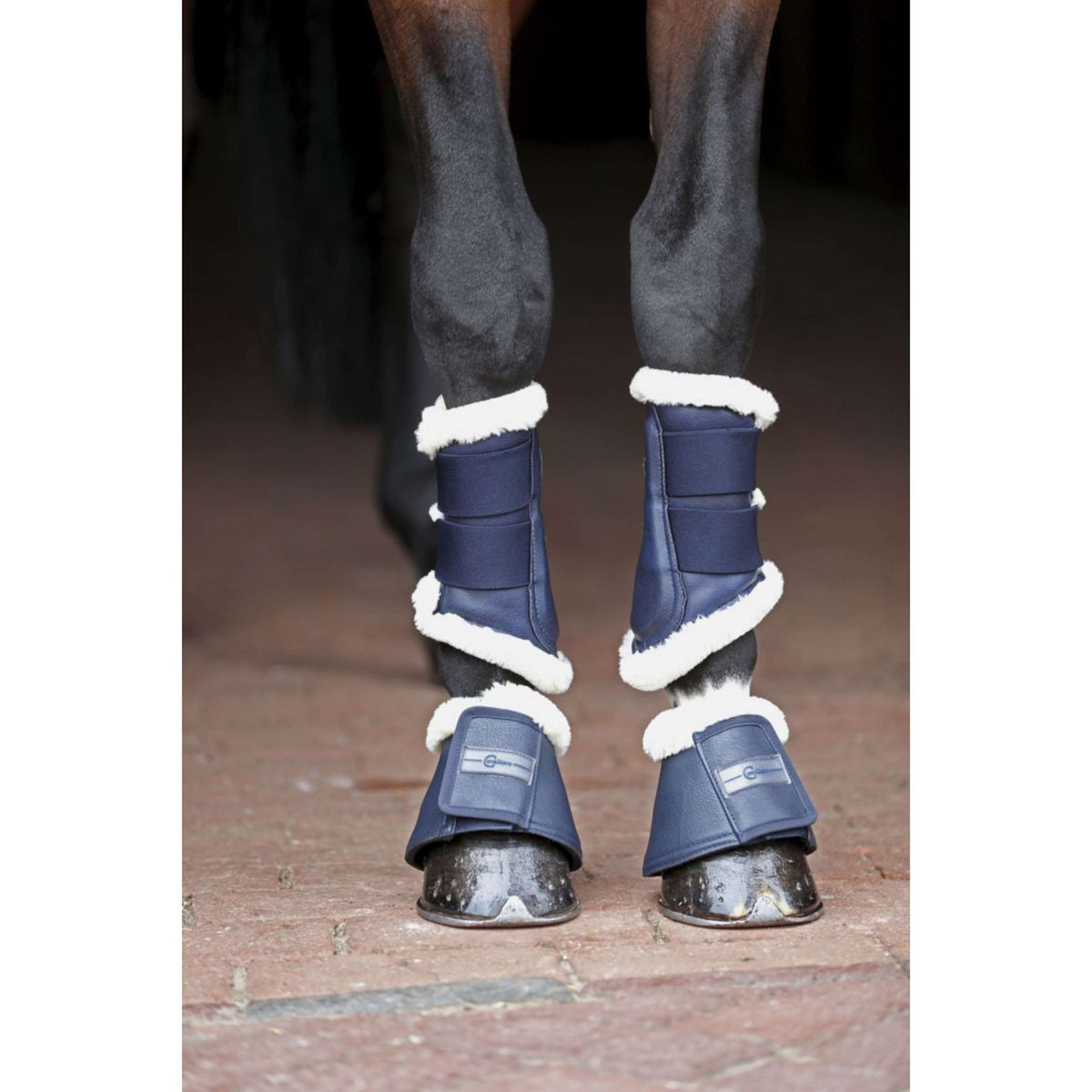 Covalliero Dressage Boots Pelisa Navy