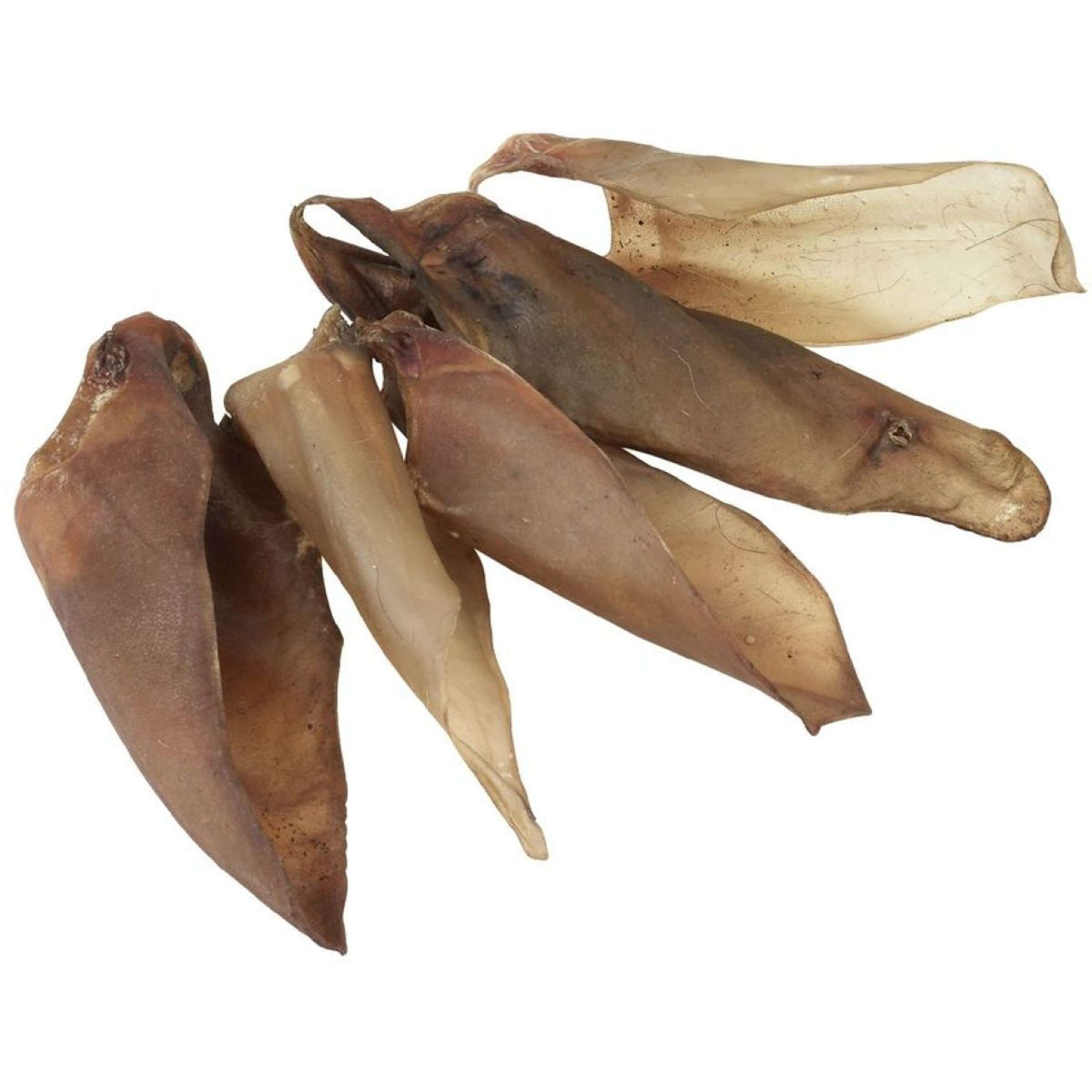 Runderoren Gedroogd - Met Vlees - 100% Natuurlijk Runderoren Gedroogd - Met Vlees - 100% Natuurlijk