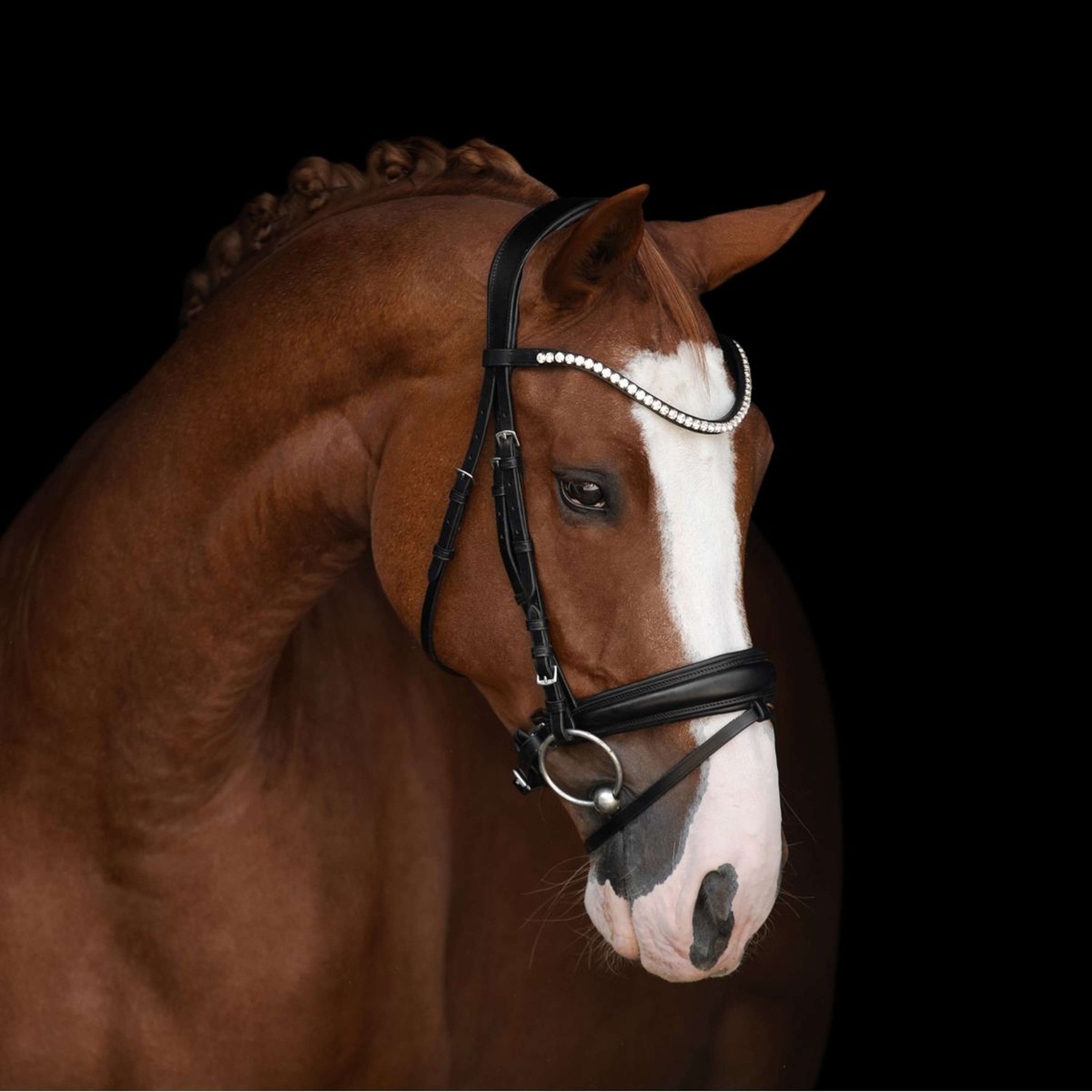 Kieffer Hoofdstel Victoria II Zwart