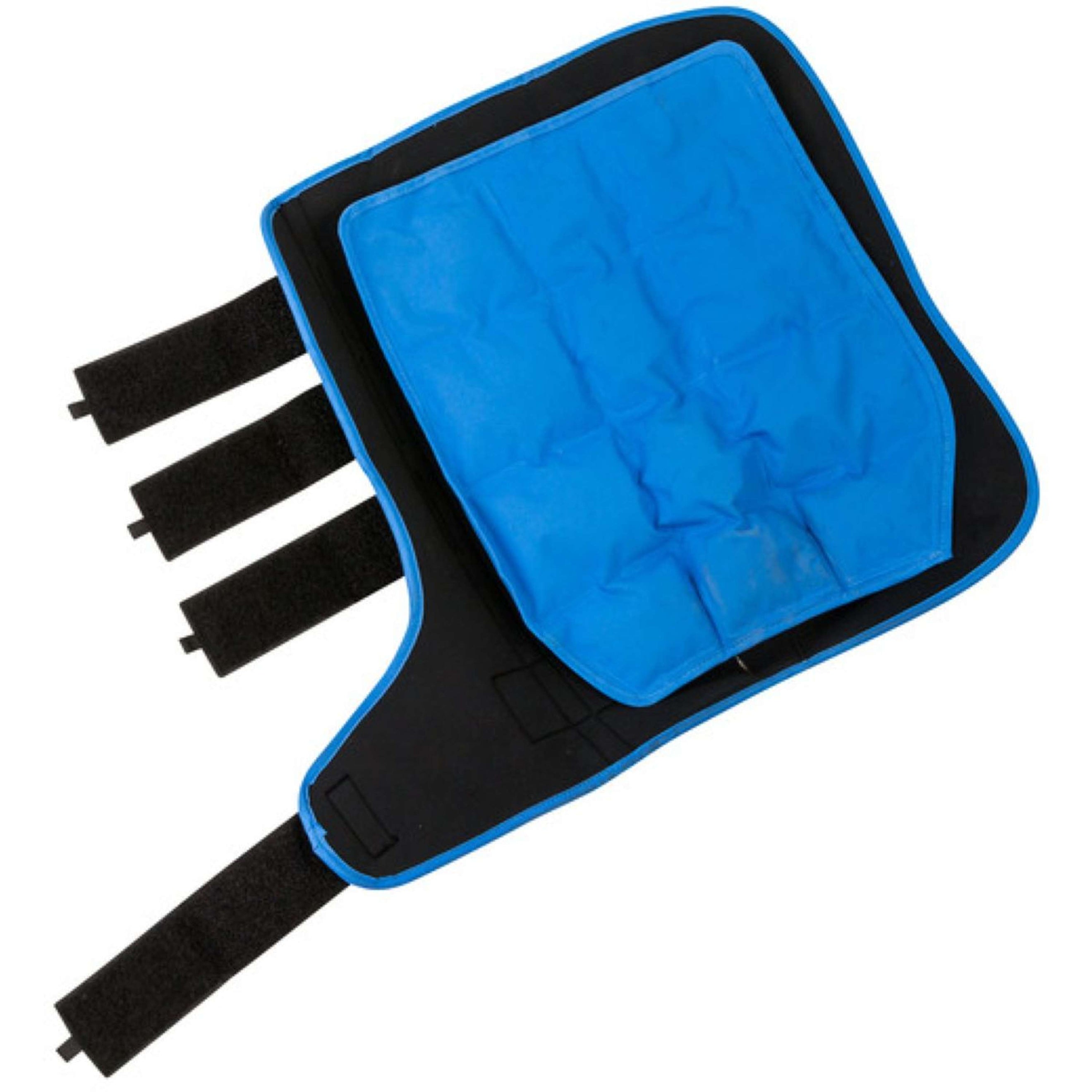 Lami-Cell Ice Boots Zwart/Blauw