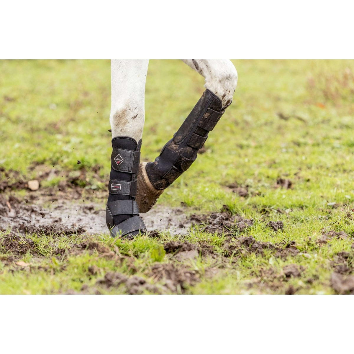 LeMieux Paardenlaarzen met mesh borstelen - Beschermende uitrusting en LeMieux Paardenlaarzen met mesh borstelen - Beschermende uitrusting en