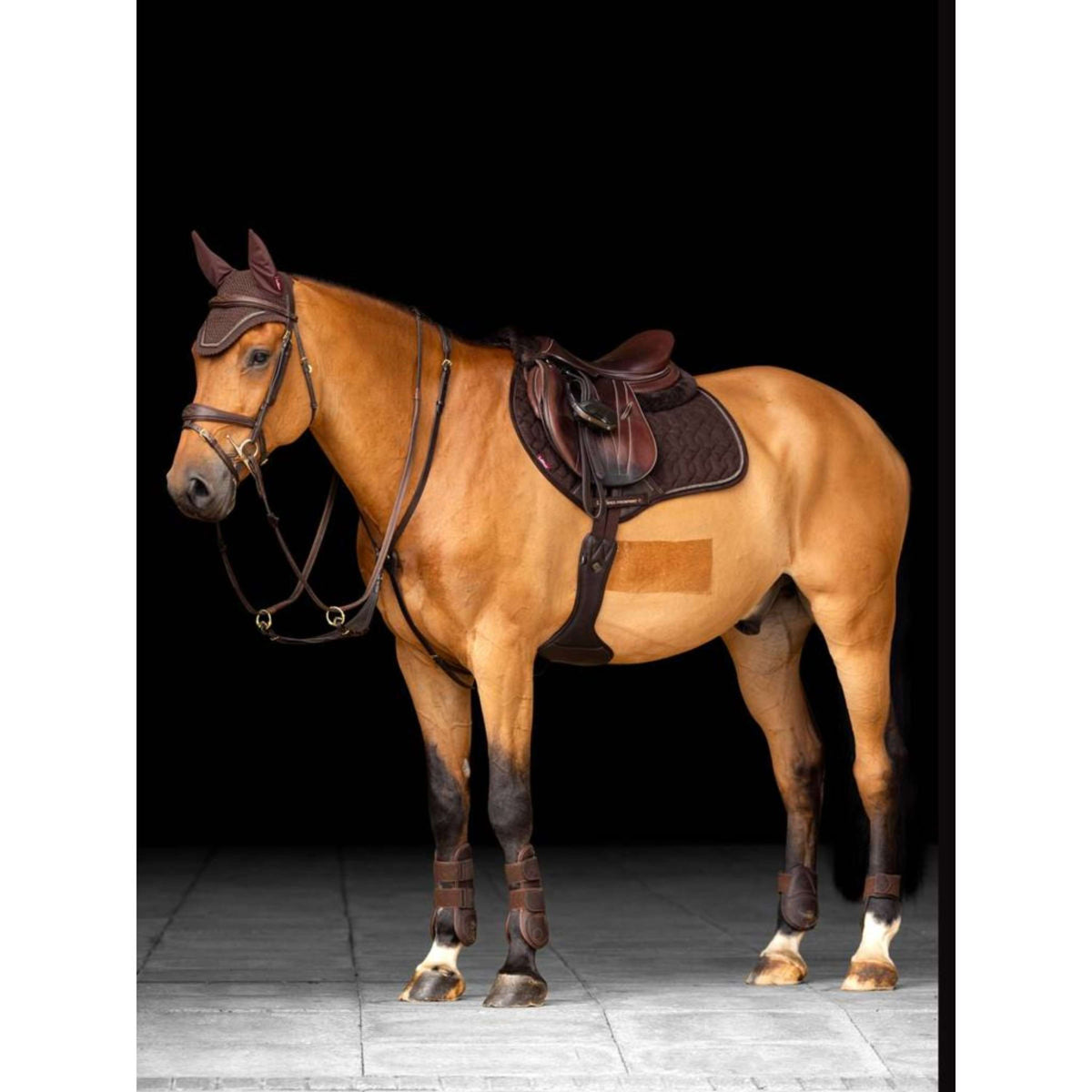 zadeldek Essential - Sjabrakken & zadeldekjes - Paardensport zadeldek Essential - Sjabrakken & zadeldekjes - Paardensport