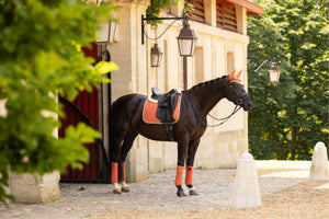 LeMieux Zadeldekje Classique Suede Dressuur Apricot