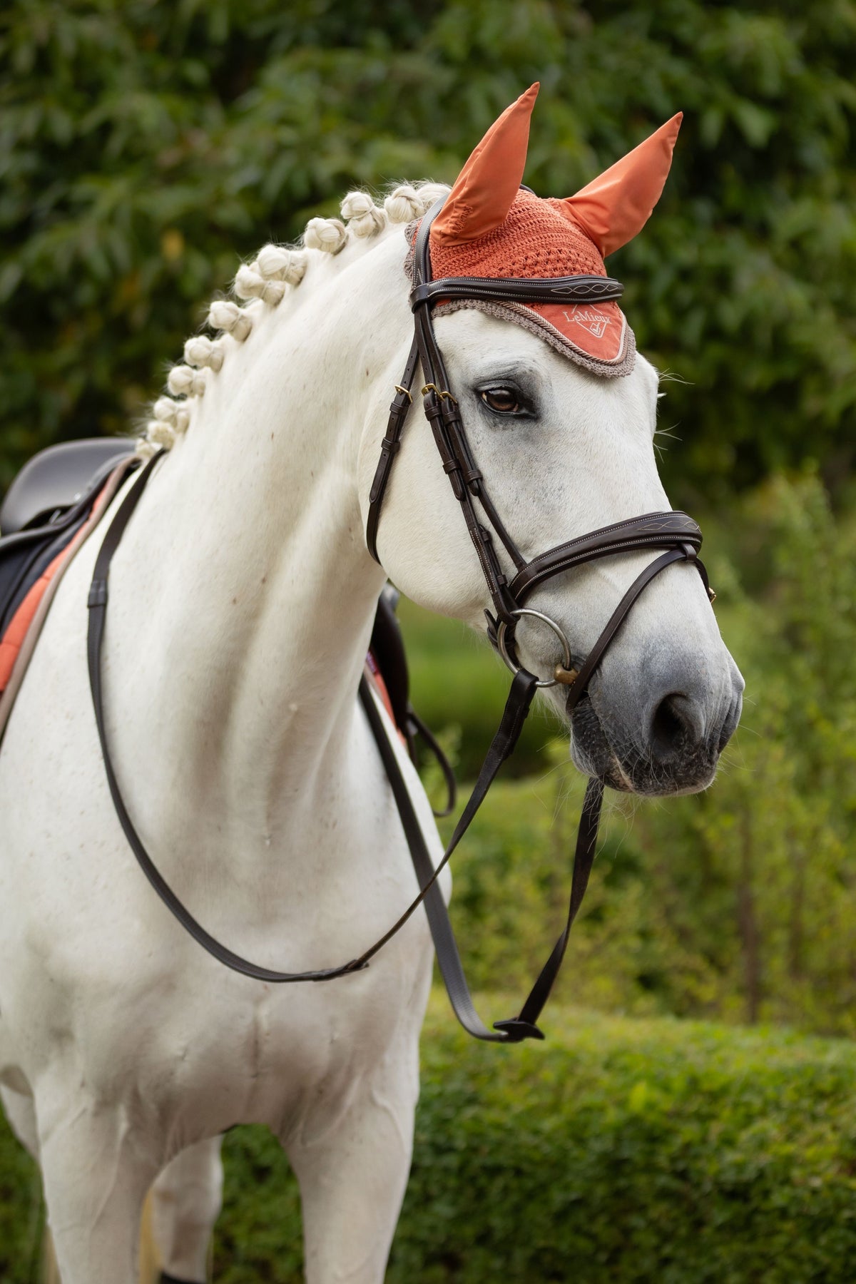 LeMieux Oornetje Classic Apricot