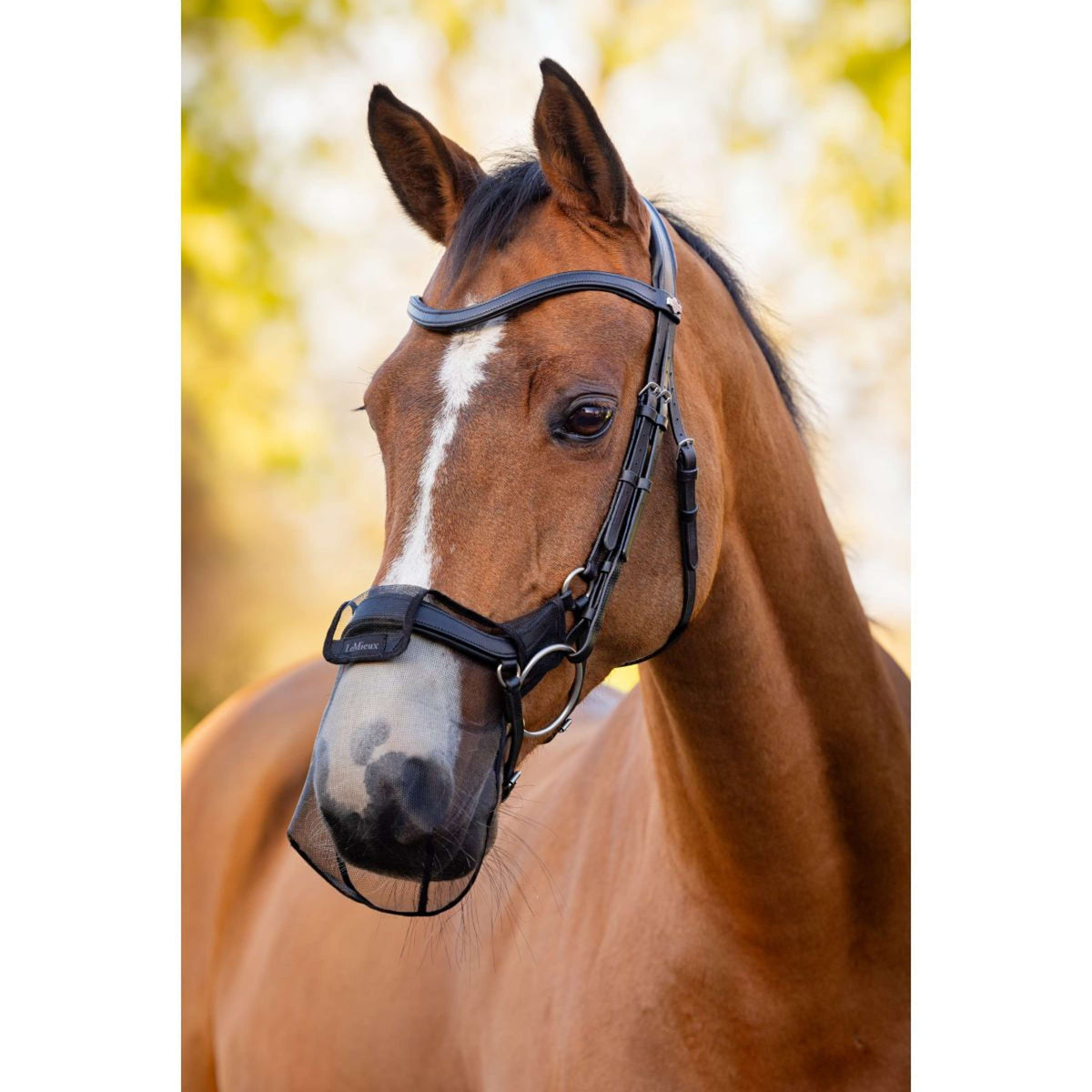 LeMieux Neusnetje Drop Zwart