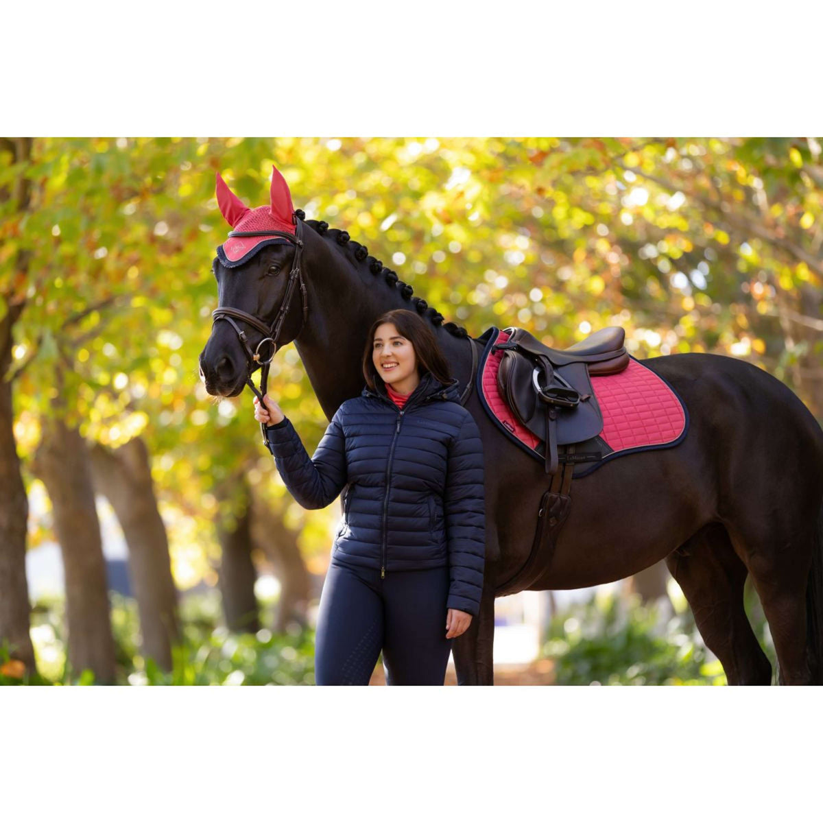 LeMieux Jas Rose Kort Navy