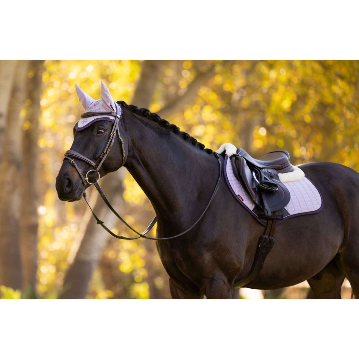 LeMieux Oornetje Classic Lilac