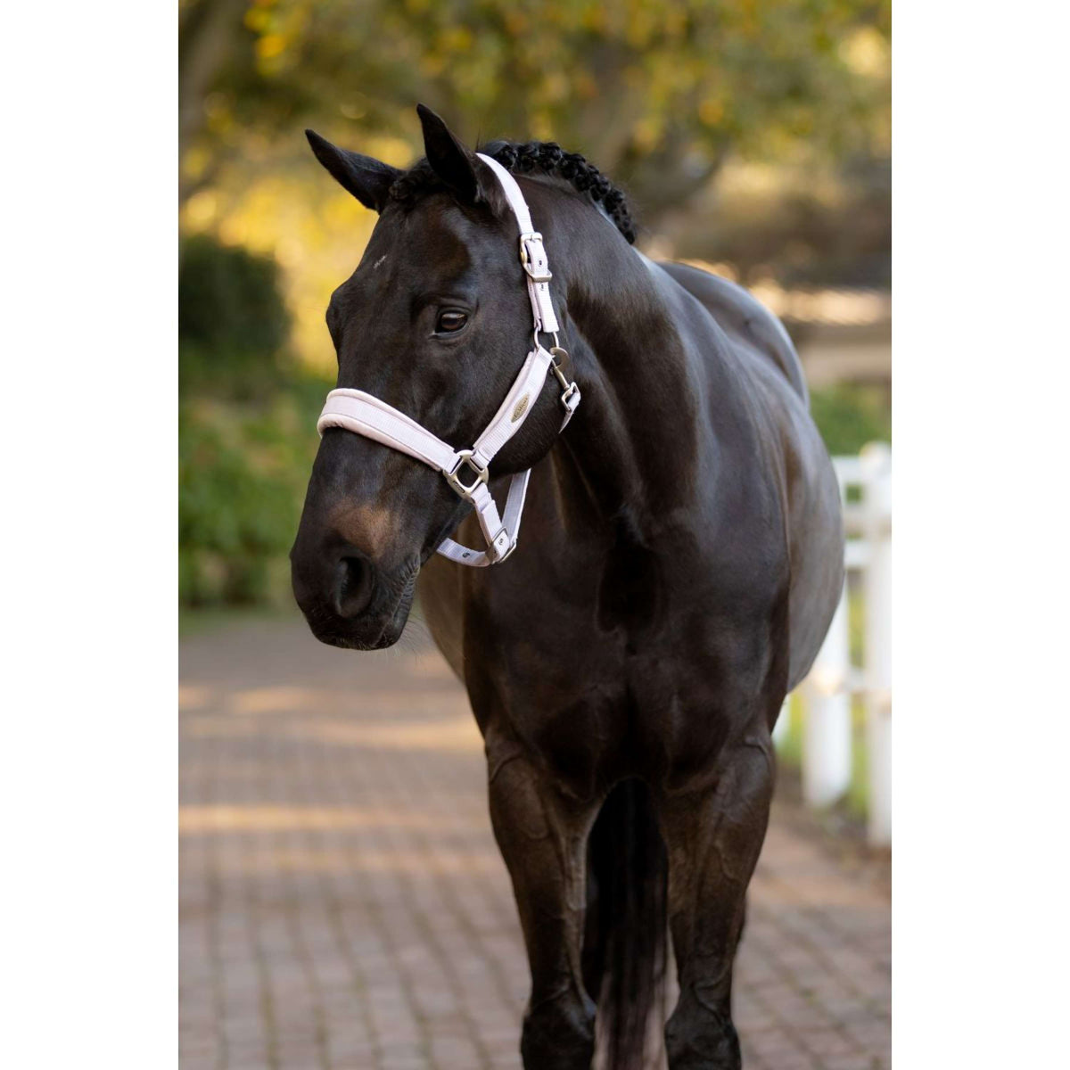 LeMieux Halster Versailles Lilac