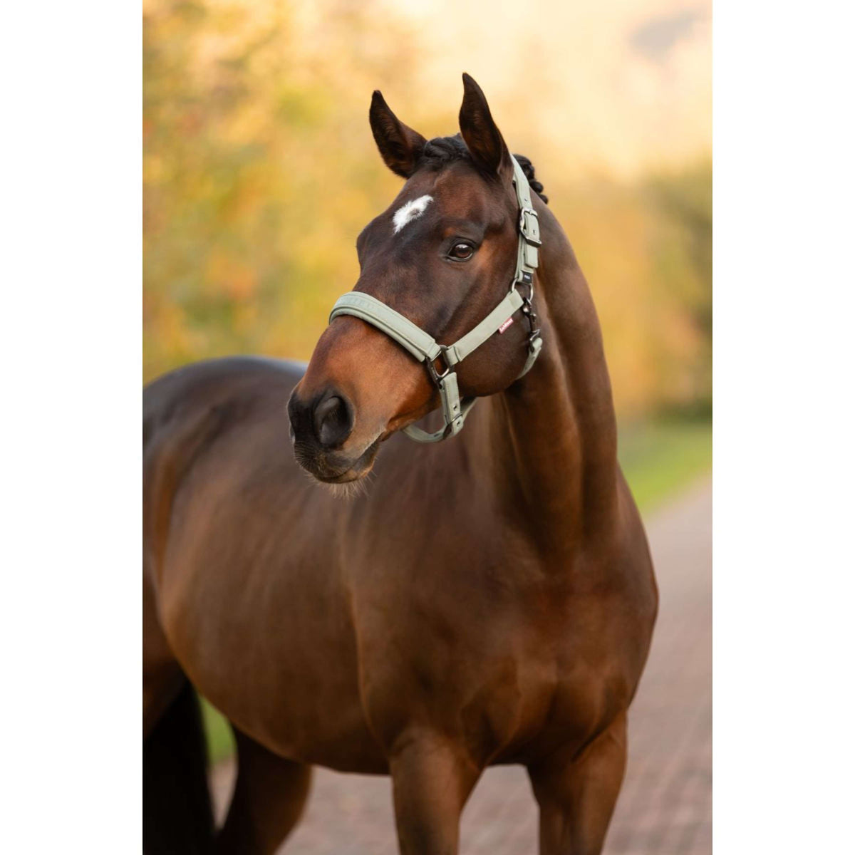 LeMieux Halster Essence Rosemary