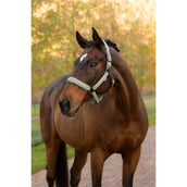 LeMieux Halster Essence Rosemary