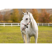 LeMieux Halster Ropella Cranberry