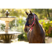 LeMieux Halsterset Vogue Cranberry